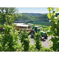 2 Tage ERLEBNIS­WOCHENENDE MIT FREUNDEN in Cochem, Rheinland-Pfalz inkl. Halbpension Unkategorisiert online kaufen