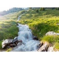 3 Tage Schwarzwald Wutachschlucht & Palmenparadies in Bonndorf im Schwarzwald, Baden-Württemberg inkl. Halbpension Unkategorisiert online kaufen