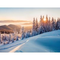 4 Tage Winterzauber im Schwarzwald in Bonndorf im Schwarzwald, Baden-Württemberg inkl. Halbpension