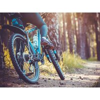 Radfahren im lieblichen Taubertal - 5 Tage in Bad Mergentheim, Baden-Württemberg inkl. Halbpension Unkategorisiert online kaufen Radfahren im lieblichen Taubertal - 5 Tage in Bad Mergentheim, Baden-Württemberg inkl. Halbpension Unkategorisiert online kaufen