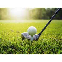 Verwöhn- Nächte mit Golf Green Fee in Gotha, Thüringen inkl. Halbpension Unkategorisiert online kaufen